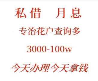 广东私人贷款公司，不看征信和负债